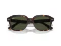 Ray-Ban Erik RB 0RB4398 902/31 51 Men, Women sunglasses