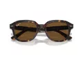 Ray-Ban Erik RB 4398 902/57 51 Men, Women sunglasses