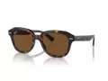 Ray-Ban Erik RB 4398 902/57 53 Men, Women sunglasses