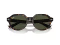 Ray-Ban Gina RB 0RB4399 902/31 53 Men, Women sunglasses