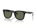 Ray-Ban RB 4420 601/9A 65 Men, Women sunglasses