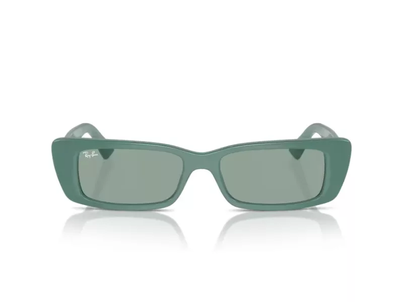 Ray-Ban Teru RB 4425 676282 54 Men, Women sunglasses