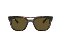 Ray-Ban Phil RB 0RB4426 135973 54 Men, Women sunglasses