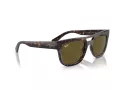 Ray-Ban Phil RB 0RB4426 135973 54 Men, Women sunglasses