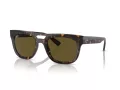 Ray-Ban Phil RB 0RB4426 135973 54 Men, Women sunglasses