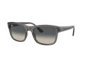 Ray-Ban RB 0RB4428 667571 56 Men, Women sunglasses