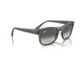 Ray-Ban RB 0RB4428 667571 56 Men, Women sunglasses