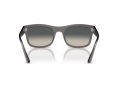 Ray-Ban RB 0RB4428 667571 56 Men, Women sunglasses