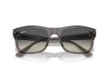 Ray-Ban RB 0RB4428 667571 56 Men, Women sunglasses