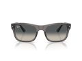 Ray-Ban RB 0RB4428 667571 56 Men, Women sunglasses