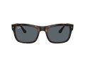 Ray-Ban RB 0RB4428 710/R5 56 Men, Women sunglasses