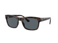 Ray-Ban RB 0RB4428 710/R5 56 Men, Women sunglasses