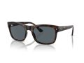 Ray-Ban RB 0RB4428 710/R5 56 Men, Women sunglasses