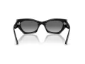 Ray-Ban Zena RB 4430 667711 49 Men, Women sunglasses
