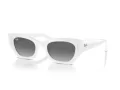 Ray-Ban Zena RB 4430 675911 49 Men, Women sunglasses
