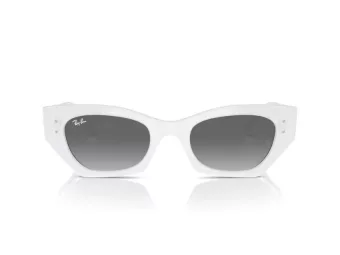 Ray-Ban Zena RB 4430 675911 52 Men, Women sunglasses