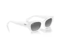 Ray-Ban Zena RB 4430 675911 52 Men, Women sunglasses