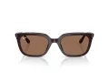 Ray-Ban RB 4439D 623173 54 Men, Women sunglasses