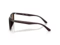 Ray-Ban RB 4439D 623173 54 Men, Women sunglasses