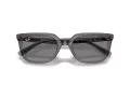 Ray-Ban RB 4439D 667587 54 Men, Women sunglasses