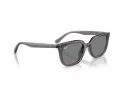 Ray-Ban RB 4439D 667587 54 Men, Women sunglasses