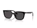 Ray-Ban RB 4439D 901/87 54 Men, Women sunglasses