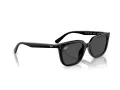 Ray-Ban RB 4439D 901/87 54 Men, Women sunglasses