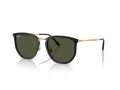 Ray-Ban RB 4451 630631 53 Men, Women sunglasses