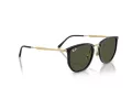 Ray-Ban RB 4451 630631 53 Men, Women sunglasses