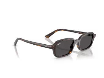 Ray-Ban Zuri RB 4455 135987 49 Men, Women sunglasses