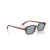 Ray-Ban Zuri RB 4455 680980 52 Men, Women sunglasses