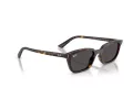 Ray-Ban Zaya RB 4456 135987 50 Men, Women sunglasses