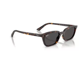 Ray-Ban Zaya RB 4456 135987 50 Men, Women sunglasses