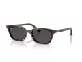 Ray-Ban Zaya RB 4456 135987 50 Men, Women sunglasses