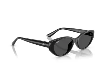 Ray-Ban RB 4457D 667787 55 Men, Women sunglasses