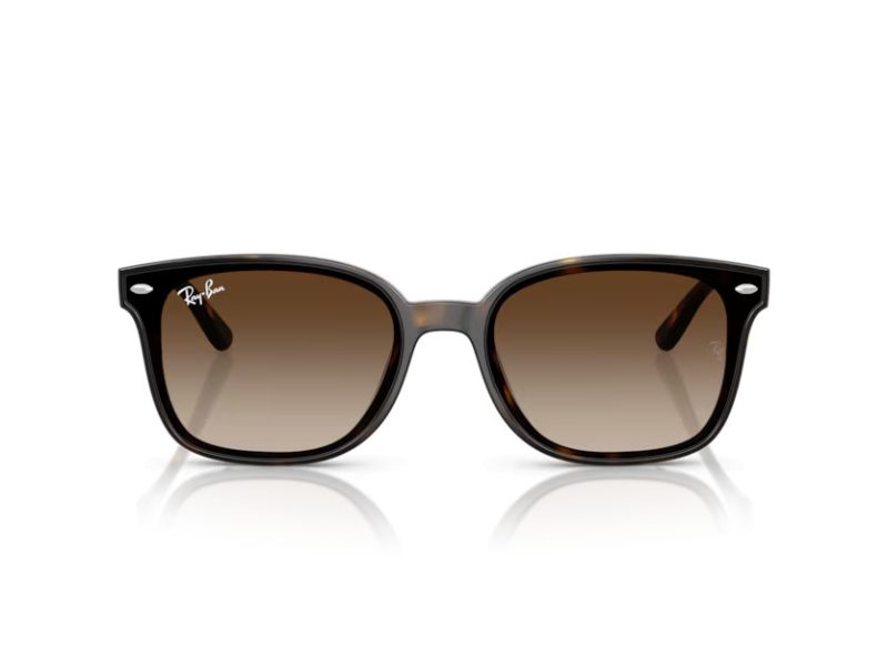 Ray-Ban RB 4461D 710/13 64 Men, Women sunglasses