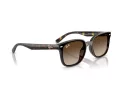 Ray-Ban RB 4461D 710/13 64 Men, Women sunglasses