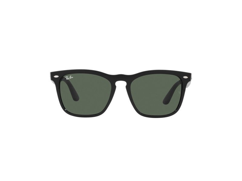 Ray Ban Steve RB 4487 6629 71 54 Men Women sunglasses Con