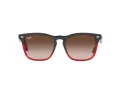 Ray-Ban Steve 4487 663113 54 Men, Women sunglasses