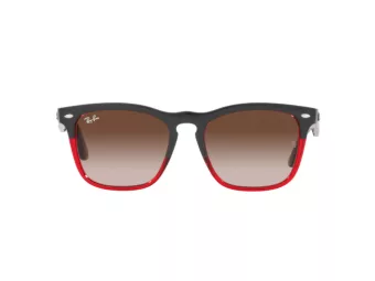 Ray-Ban Steve 4487 663113 54 Men, Women sunglasses