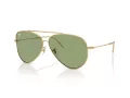 Ray-Ban Aviator Reverse RB R0101S 001/82 62 Men, Women sunglasses