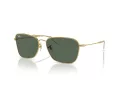 Ray-Ban Caravan Reverse RB 0RBR0102S 001/VR 61 Men, Women sunglasses