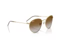 Ray-Ban Round Reverse RB R0103S 001/CB 53 Men, Women sunglasses