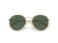 Ray-Ban Round Reverse RB R0103S 001/VR 53 Men, Women sunglasses
