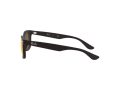 Ray-Ban Junior New Wayfarer RJ 9052S 100S/6Q 47 Children sunglasses