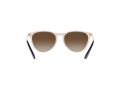 Ray-Ban Junior Erika RJ 9060S 7108/13 50 Children sunglasses