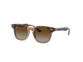 Ray-Ban RJ 9098S 7152T5 45 Children sunglasses