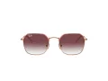 Ray-Ban RJ 9594S 291/8H 49 Children sunglasses