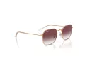 Ray-Ban RJ 9594S 291/8H 49 Children sunglasses