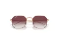Ray-Ban RJ 9594S 291/8H 49 Children sunglasses